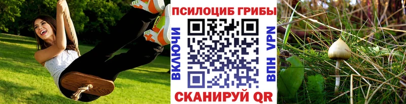 MEGA как зайти Лесной Галлюциногенные грибы мицелий хочу