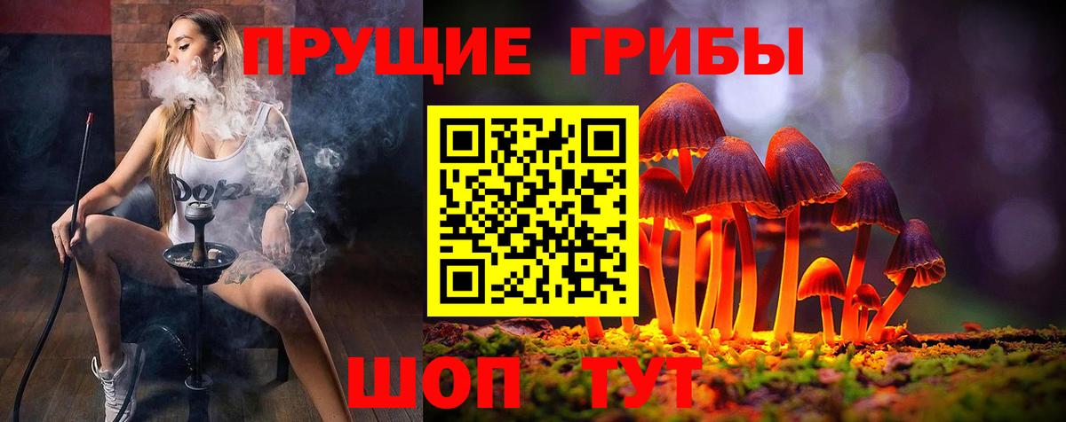 Галлюциногенные грибы прущие грибы Лесной