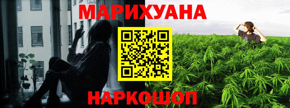 Конопля Bruce Banner  Канабис индика  Вход с VPN  Лесной  Каннабис планчик 